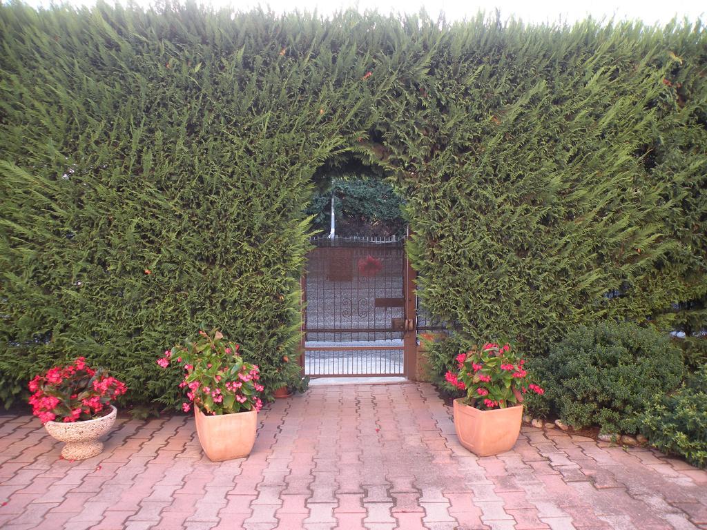 Casa Oriana Villa Розолина Екстериор снимка